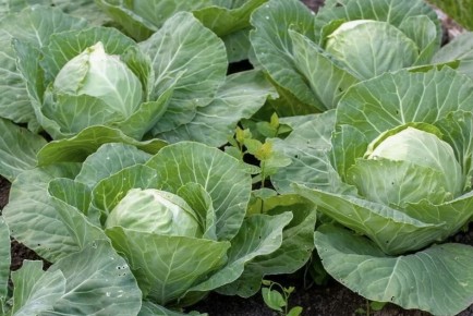 ����� ������ ������� � ���: ������� ��������� ������