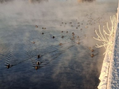 ������ ����!. ����: ������ ������� #���������������