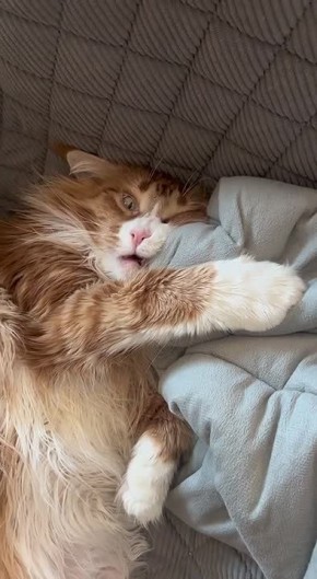 �������-�� �������. ���