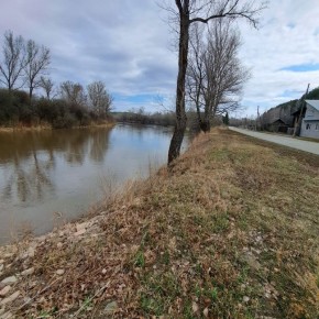 � ���� ���� 290 ��� ������ �������� ��: