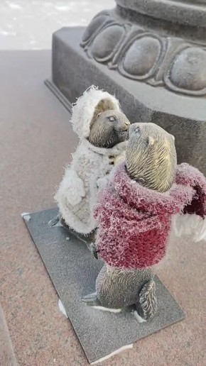 �������� ���� ���������!. ���������� ���� ��������� �������� �� ������� ���� � ����������� ����������