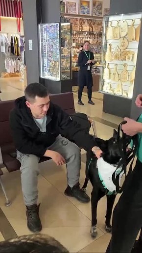 ������ ������������ ���������� ����� ������� � ������������ ���������