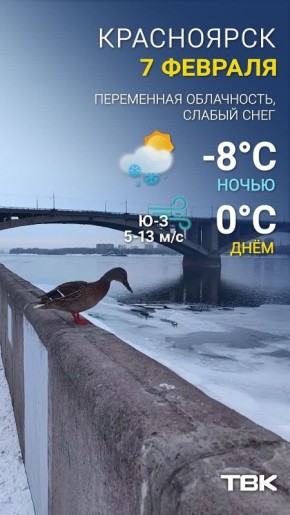 ������ �� 7 �������. ���