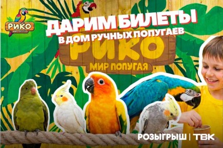 ��������: ����� ������ � ��� ������ �������� ���� ����