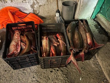 ����� ������� ������������� ���� ����� ������ �� ����� �������������� ������