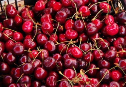 ���� ������ ���� ����� ������� � ��� ��� ����� ���� ������: ��������� �������