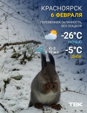 ������ �� 6 �������. ���