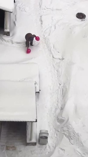 ��������� ������ ����: ������� �� ����������� ������ � ����� �������, ����� ���������� ����