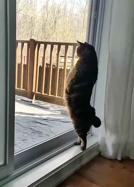 ���� ����� ��� �����.... ...���� ���������� ��������. � ���� �� ����������, ����� ����� ��� �����: - ������ ���. �������� �� ��������� �������, ��� ������������� ������������ ��� ����� ��������;