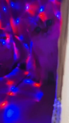 ���, �������! ������� ������ �������, � ������� � ����� ��� ��� �������