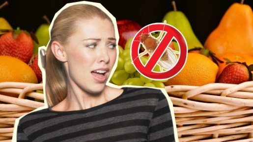 ���� � �������� ��� �� �������: ��� ���������� �� �������� ����� ����