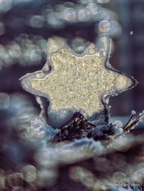 �� �������� � ����������� ������� �� -1�C