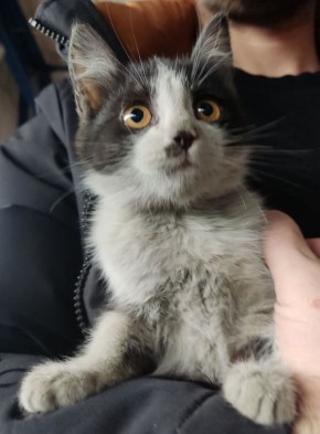 �� ����� �������� ������, ������� ���� ��� ���