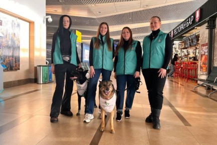 � �������� ����������� ��������� ������ ������������� ���������