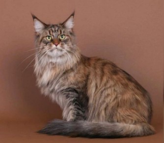 ���������� �� ��������� �����?