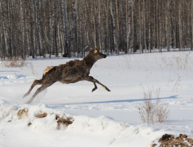 64 ������ �������� �� ���������� � ��������� ������������� ����