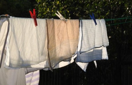 ��� �������� ����� ����: ������� ������