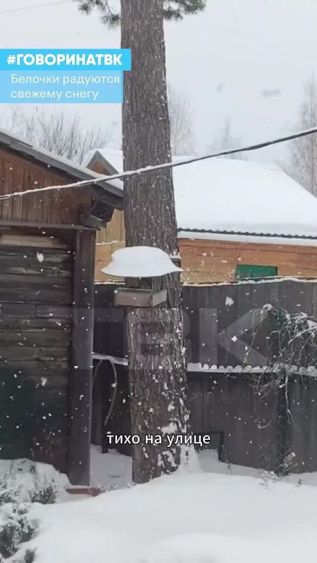 ����� ��������. ��� ������� � �������� ���� � ����� ����� �� ������ � ��������