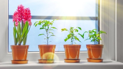 �������� ������ ��������� ��������: ��� ��������� ����� ������� ��� ���������