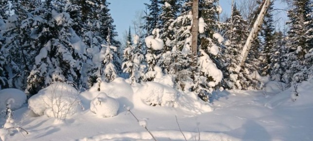 �� +4�C �� -19�C: ��������� ������������� ������ � ���� ������������ � �����������