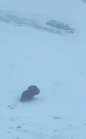 ������� ��������... ������� �� ���� ���������