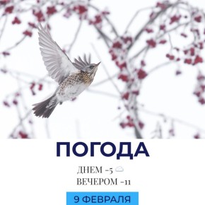 ������ �������. @gornovosti