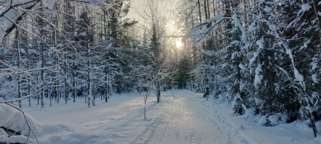 �� +4�C �� -19�C: ��������� ������������� ������ � ���� ������������ � �����������