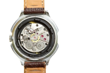 ��������� ���������: ��� ����� ������ �� ���� ������