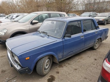 ������� �������: ����� ����� ���������� ������������ �������� �� ������� ������� Wildberries �� �����������