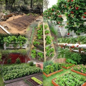 ��� ��������� �������� ��������: ������ �� ����� � ������ �����