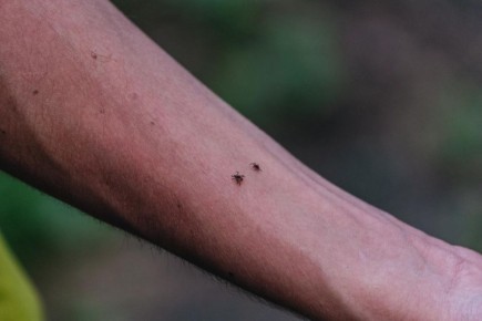 ����� ��������� ������ ����� � �����������: ������� ����������������