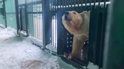 ����� ����������, ������� ������ �� ������� �� �������, ��������� � ���������� �������