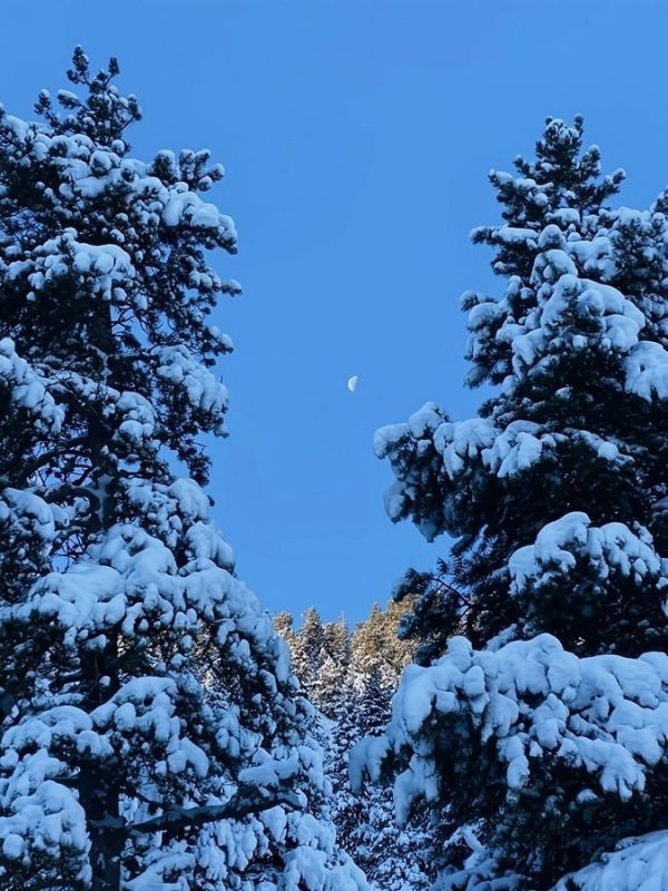 ������ ����!. ����� ���� � ��� ����� �����������