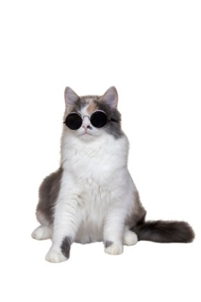 ��� �����, � ��� ��������� ��� ������