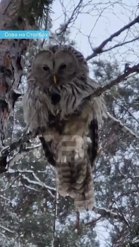 ������ ��������� ��������� ���������� �� �������