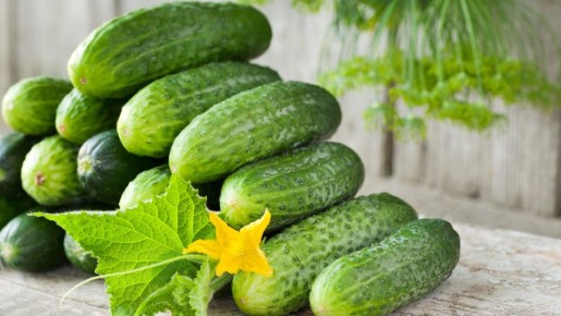 ������ �������� ����� ����������: ������� �� ���������, ���� ������ ���