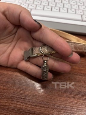 ���� 3 ����� ���� � ���������� �����������: ������� ����������� �������� � ������������ ������� �����������