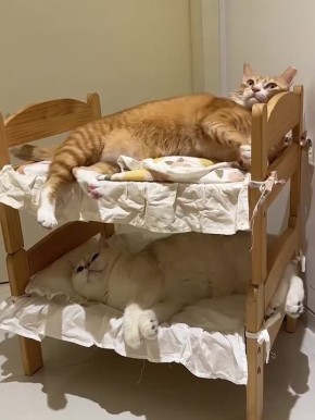 ������ ���������� ����� ��� � ������ ������� � ������ ������