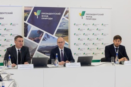 ������� ��������: ���������� ������ ����������� � ������� ��������� ������� ������ ������������� ���������