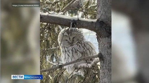 � ������� �������� ������������� �������