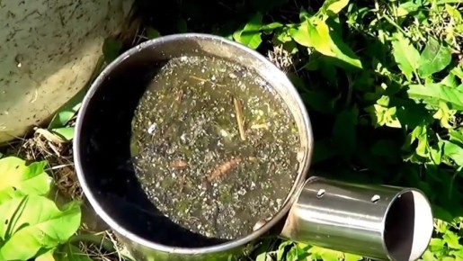 ����� �������� ���������: ���� � ������ � �������� ����������