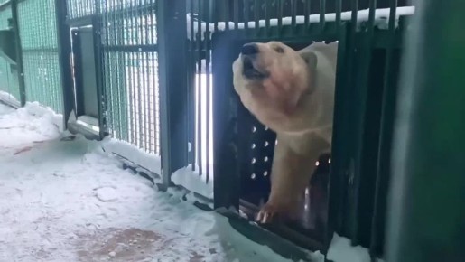 � ���������� �������� ���������� � ��������� ��������� �� ������� ���������