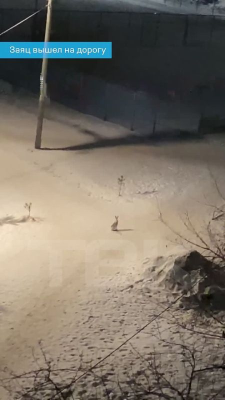 ������� ������� � ����� �1