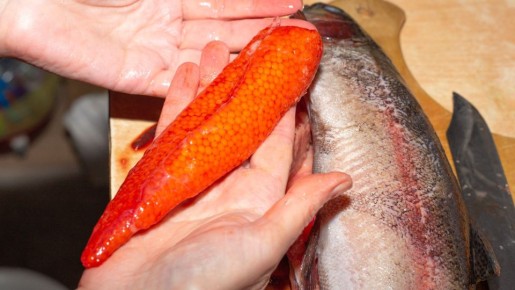 ���������� �� ����������: ��� ������� � �������� ������� � �����