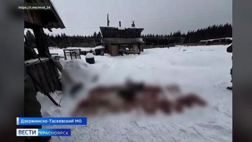 ������ ������� ������ ����������� � ���������� ������ ������