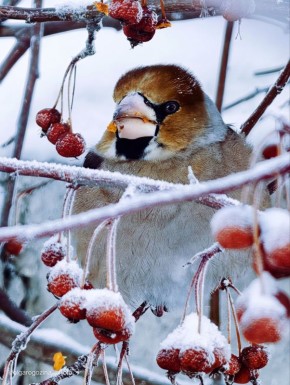 ���������� � ���������. �������� � ������������ ����� ��������� ���������, ��������� ����� ��������� ������������ ���������� ������ ����� � ������ ����� ������ � ����������. ����� ������ ����� ��������� ��������� �������...