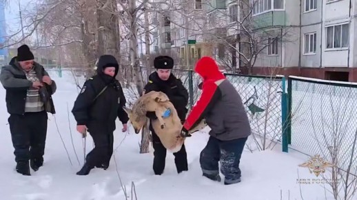 ������� ���� ������ �� ���� ����� � ��������