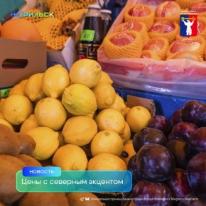 ���������� ���������������� ����� � ����� ������������� ������ ��������� ���������� ����������� ���� �� 28 ������������ ��������� �������� ����������������� �������