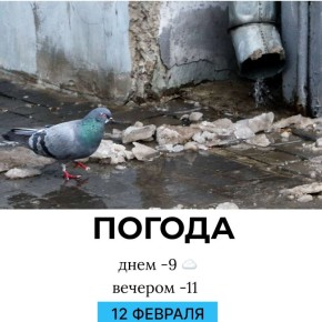 ������ �� �������. @gornovosti