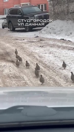 ������� � ��������. ��� ��. ������ � ����������� �� �������� ����� ���� ���������. �������, ��� �����. ������ �� ������ � ������ ��� �������� �, � ����� ����� ����� @tokarevs ����� ����� ���������� � �� ������